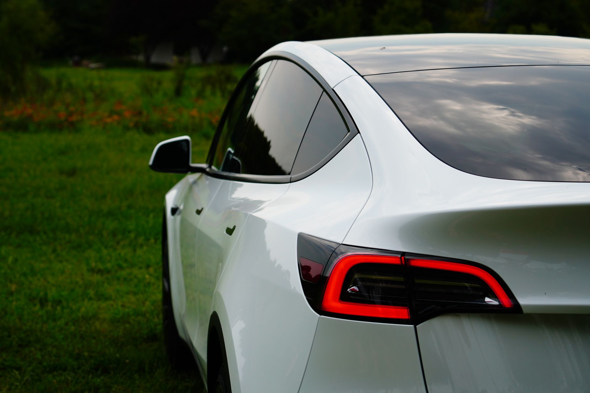 back view of white tesla model y